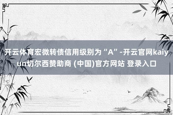 开云体育宏微转债信用级别为“A”-开云官网kaiyun切尔西赞助商 (中国)官方网站 登录入口