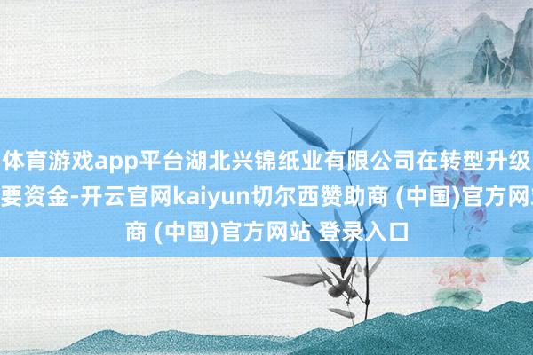 体育游戏app平台湖北兴锦纸业有限公司在转型升级的关节期需要资金-开云官网kaiyun切尔西赞助商 (中国)官方网站 登录入口