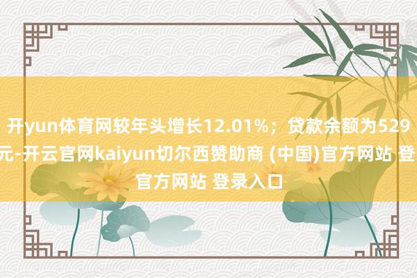 开yun体育网较年头增长12.01%;贷款余额为529.02亿元-开云官网kaiyun切尔西赞助商 (中国)官方网站 登录入口