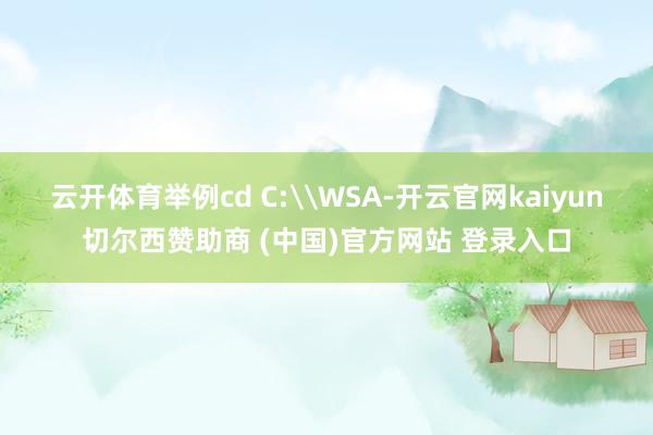 云开体育举例cd C:\WSA-开云官网kaiyun切尔西赞