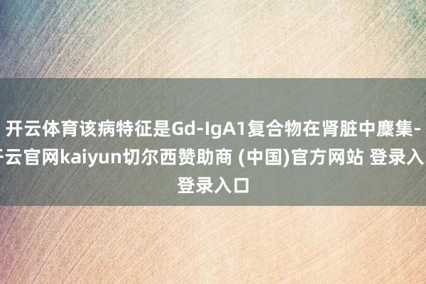 开云体育该病特征是Gd-IgA1复合物在肾脏中麇集-开云官网