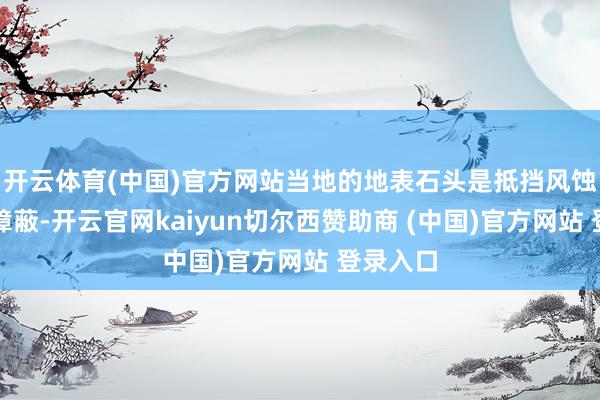 开云体育(中国)官方网站当地的地表石头是抵挡风蚀的自然障蔽-