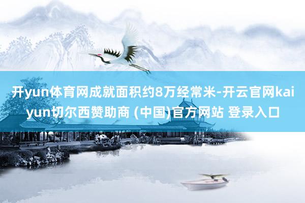 开yun体育网成就面积约8万经常米-开云官网kaiyun切尔
